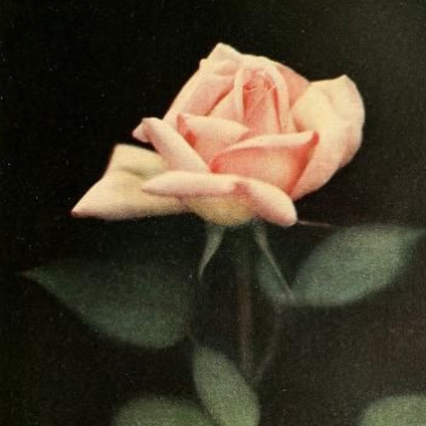 2025: A Year of Recalibration