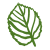 Custom cursor