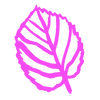 Custom cursor hover